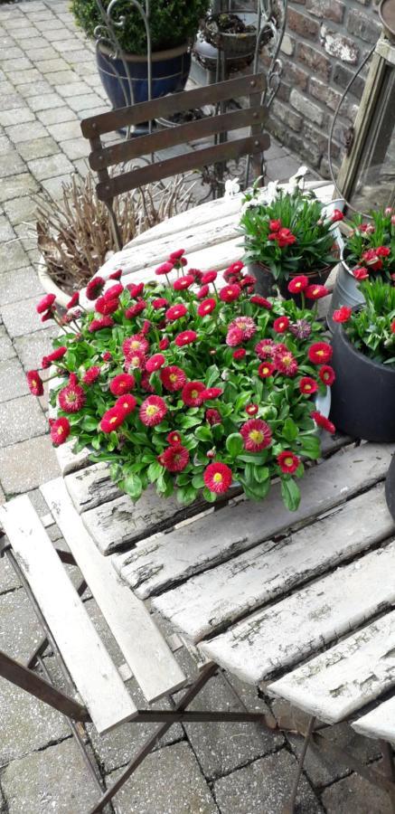 Chambre Aqualine Aywaille Zewnętrze zdjęcie