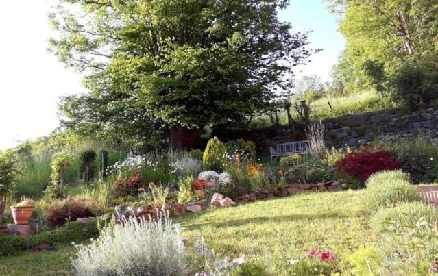Chambre Aqualine Aywaille Zewnętrze zdjęcie