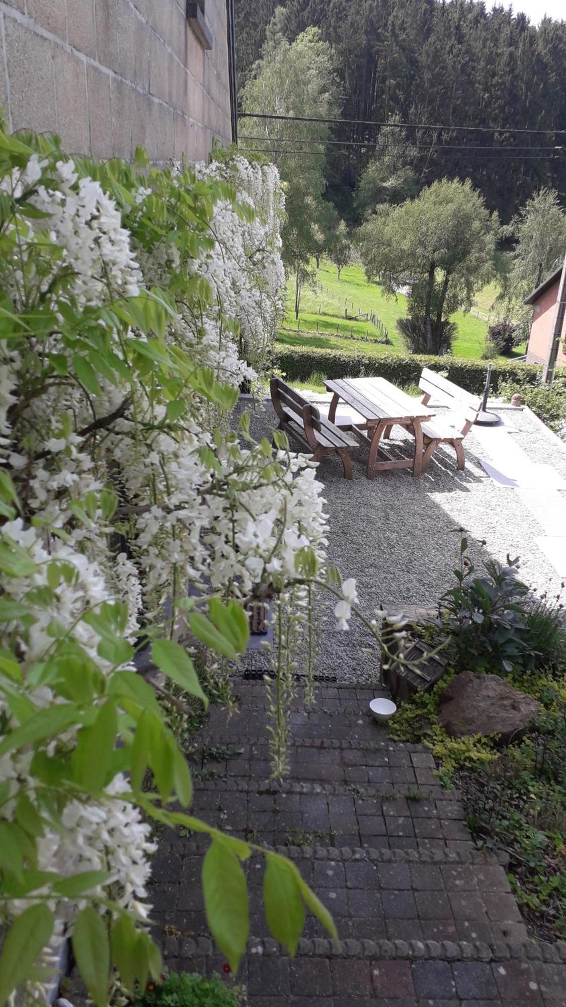 Chambre Aqualine Aywaille Zewnętrze zdjęcie
